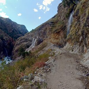 Humla Jungli