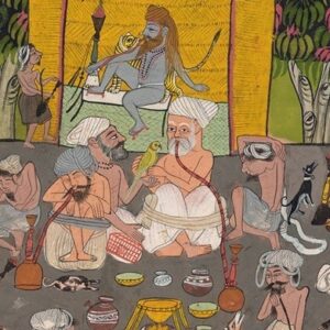 Aussie Gunja Project - The Real Seed Company (January 2026)