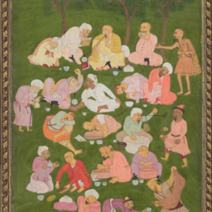 Aussie Gunja Project - The Real Seed Company (Dec 2024)